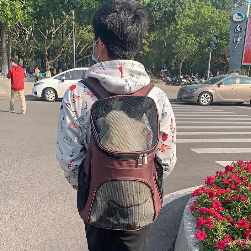 Mochila Transportadora Transpirable para Perros Pequeños: Ideal para Chihuahua, Schnauzer, Pug - Perfecta para Aventuras al Aire Libre