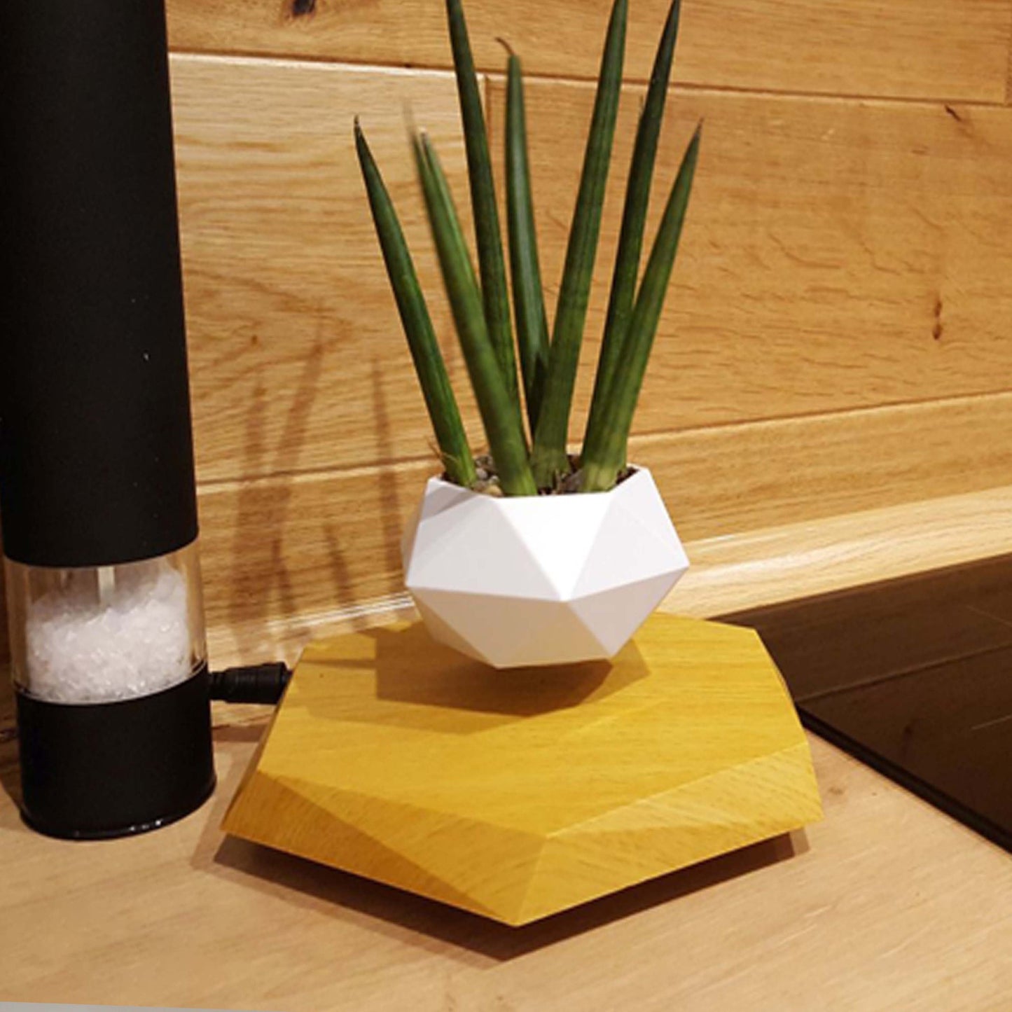 Maceta Levitante Magnética para Plantas - Decoración Flotante para Hogar y Oficina - Regalo Novedoso