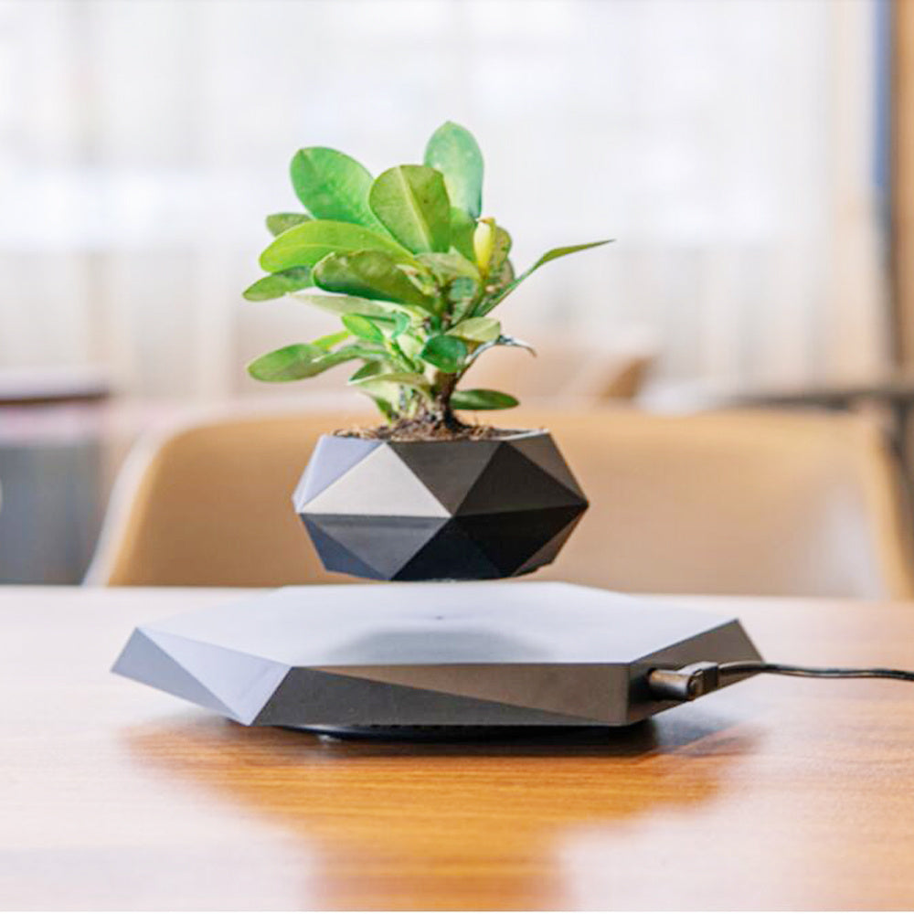 Maceta Levitante Magnética para Plantas - Decoración Flotante para Hogar y Oficina - Regalo Novedoso