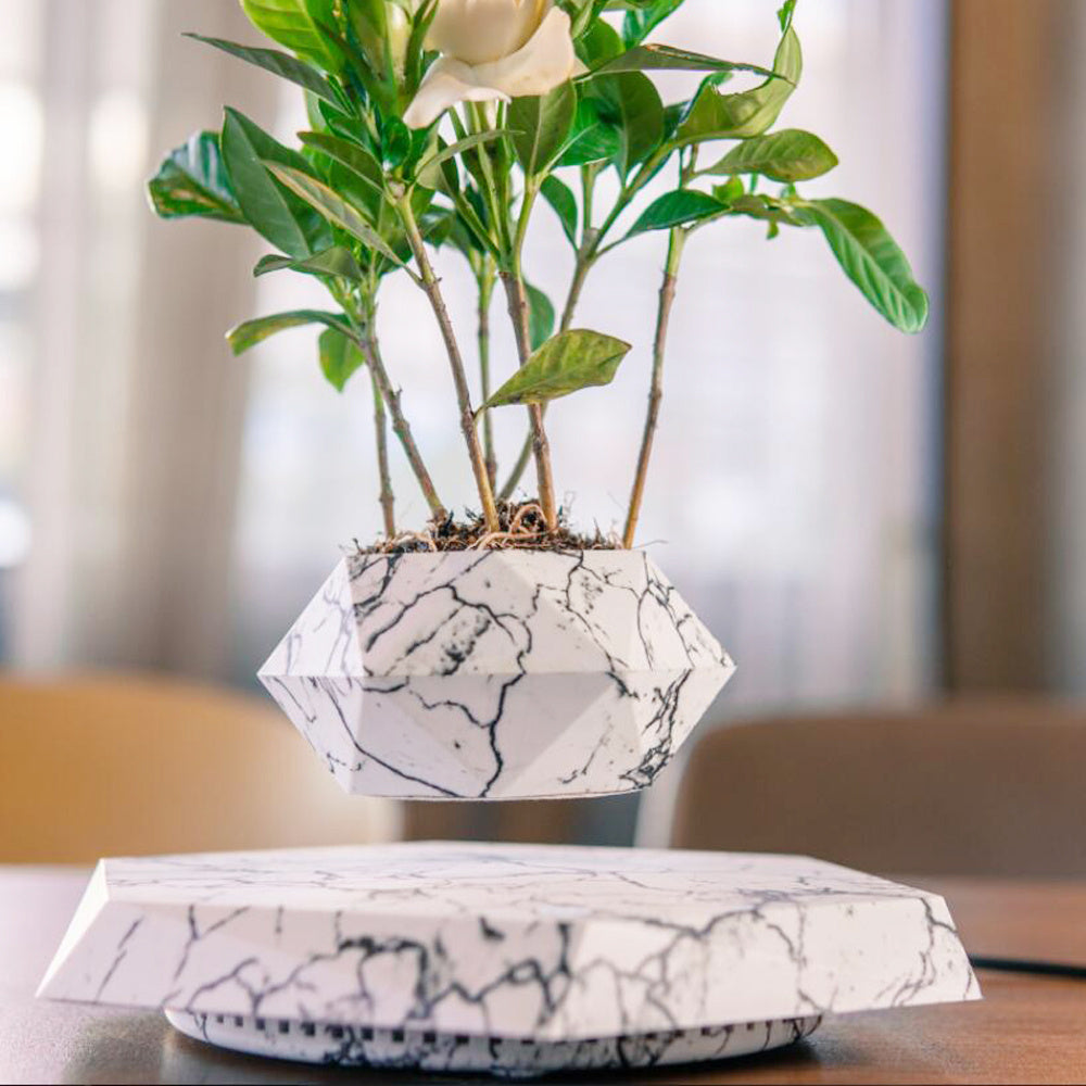Maceta Levitante Magnética para Plantas - Decoración Flotante para Hogar y Oficina - Regalo Novedoso
