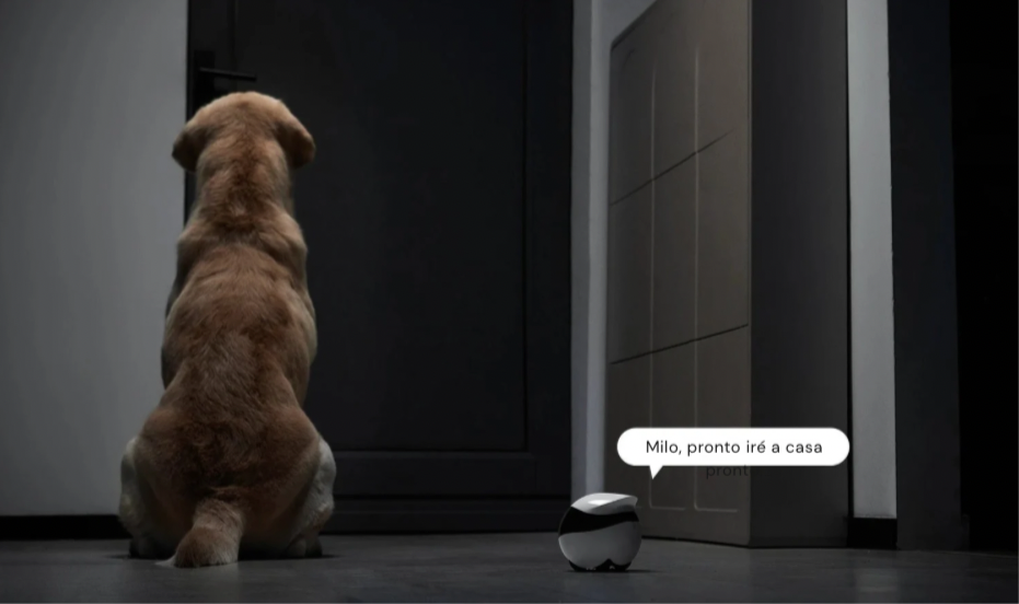 EBO Air2 – Robot Compañero Desmontable para Mascotas, Monitoreo en Casa y Cámara Inteligente con Control Remoto Inalámbrico