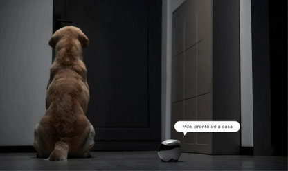 EBO Air2 – Robot Compañero Desmontable para Mascotas, Monitoreo en Casa y Cámara Inteligente con Control Remoto Inalámbrico