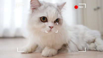 EBO Air2 – Robot Compañero Desmontable para Mascotas, Monitoreo en Casa y Cámara Inteligente con Control Remoto Inalámbrico