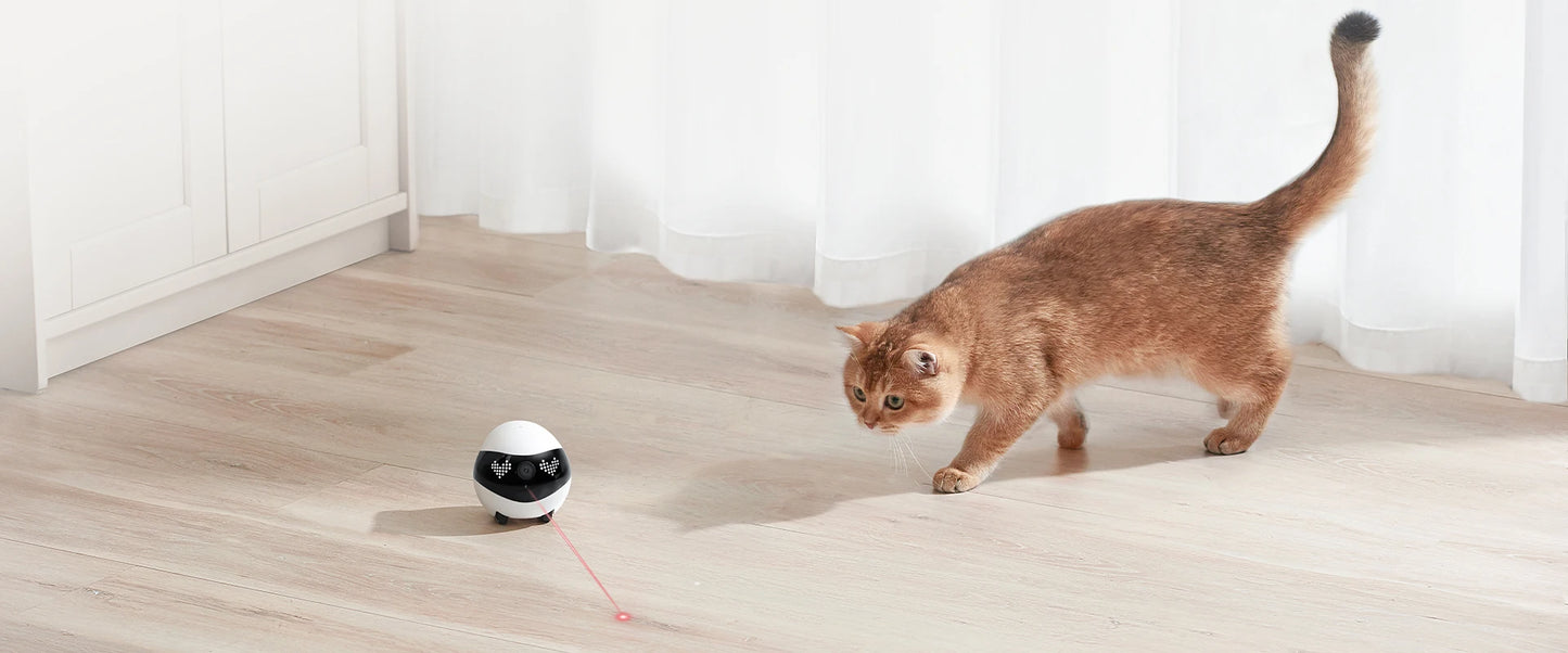 EBO Air2 – Robot Compañero Desmontable para Mascotas, Monitoreo en Casa y Cámara Inteligente con Control Remoto Inalámbrico