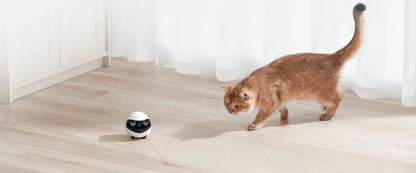 EBO Air2 – Robot Compañero Desmontable para Mascotas, Monitoreo en Casa y Cámara Inteligente con Control Remoto Inalámbrico