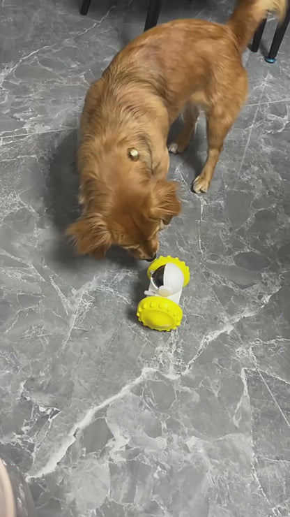 ¿Tu mascota come muy rápido? Conoce el Auto Equilibrado Anti-Ansiedad que convierte cada comida en un desafío feliz.